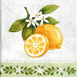 1serviette papier Citrons-15