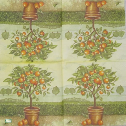 1serviette papier Oranges-16