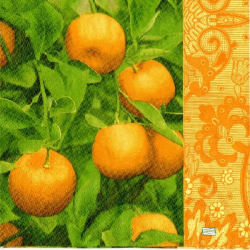 1 serviette Les Oranges -17