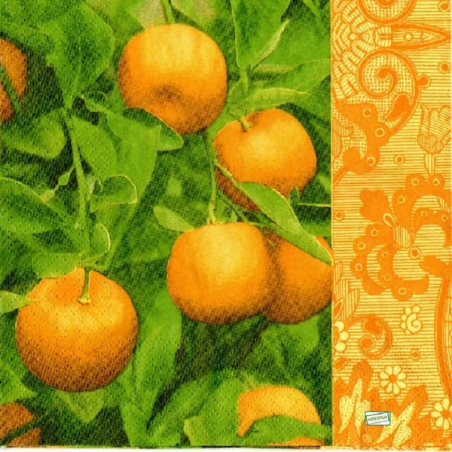 1serviette papier Oranges-17