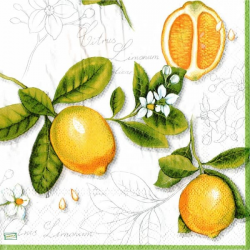 1 serviette Les Citrons -26