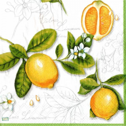 1serviette papier Citrons-26