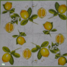 1serviette papier Citrons-26