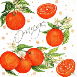 1 serviette Les Oranges -30