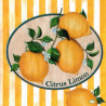 1 serviette Les Citrons -33