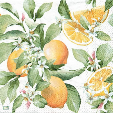 1serviette papier Citrons-34