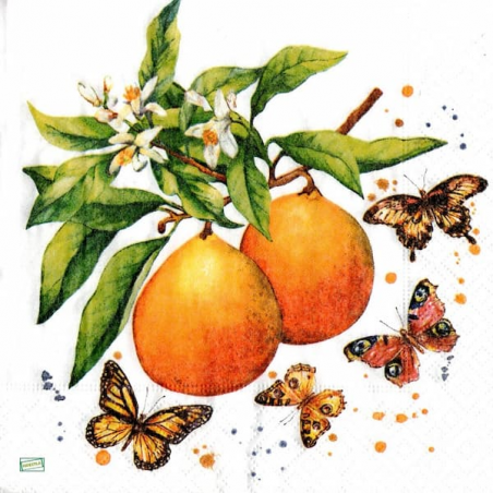 1serviette papier Oranges-35