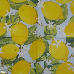 1serviette papier Citrons-39