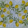 1serviette papier Citrons-42