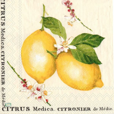 1 serviette Les Citrons -43