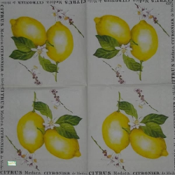 1serviette papier Citrons-43