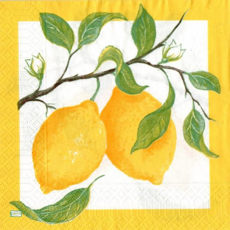 1 serviette Les Citrons -44