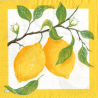 1serviette papier Citrons-44