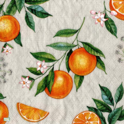 1 serviette Les Oranges -53