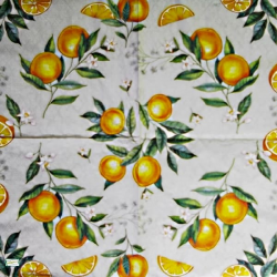 1serviette papier Oranges-53