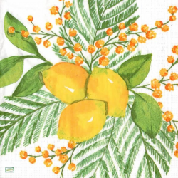 1serviette papier Citrons-54