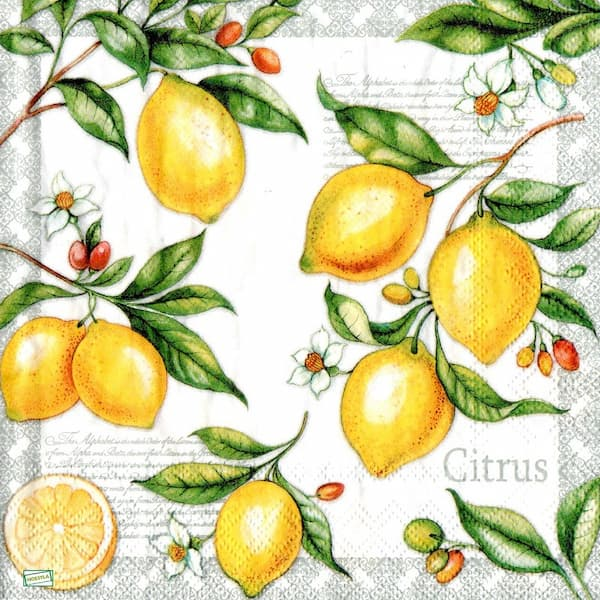 1 serviette Les Citrons -55