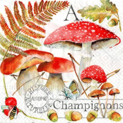 1serviette Les Champignons-3