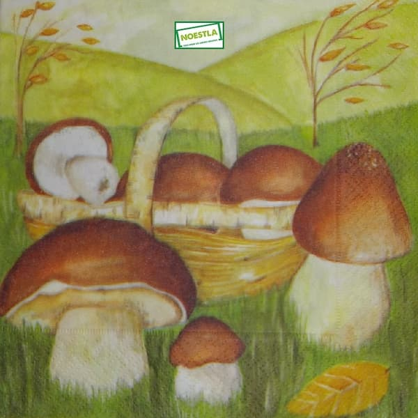 1serviette Les Champignons-19