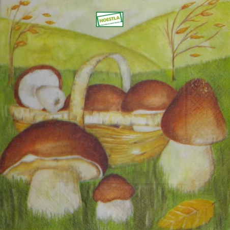 1serviette Les Champignons-19