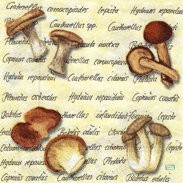 1serviette Les Champignons-24