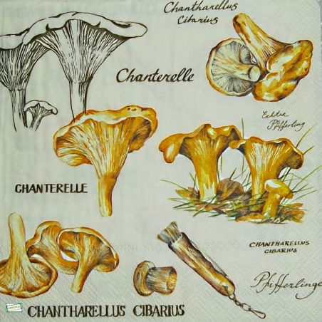 1serviette Les Girolles-38