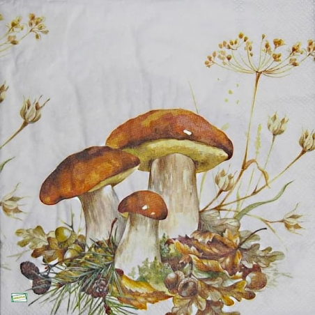 1serviette Les Champignons-39