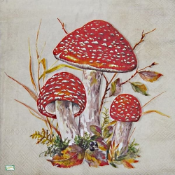 1serviette Les Champignons-68