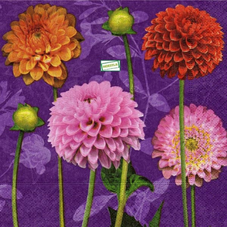 1 serviette Les Dahlias -82