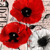 1 serviette Coquelicots -28