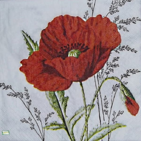 1 serviette Coquelicots -7