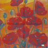 1 serviette Coquelicots -51