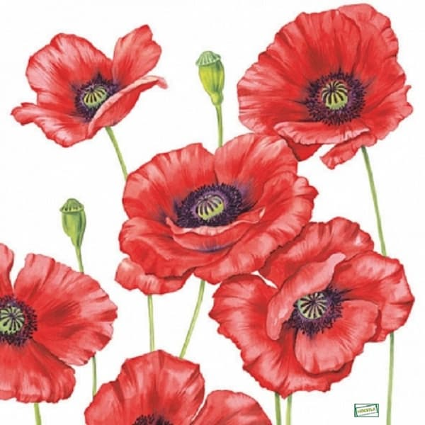 1 serviette Coquelicots -71