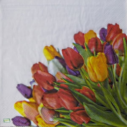 1 serviette papier Tulipes -8