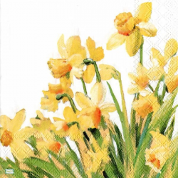 1 serviette Jonquilles -9