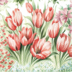 1 serviette papier  Tulipes - 26