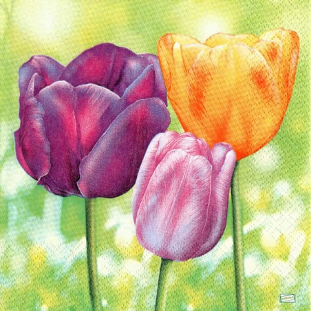 1 serviette papier Tulipes-31