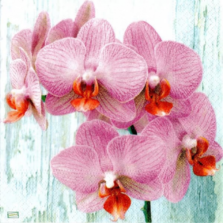 1serviette papier Orchidés-4