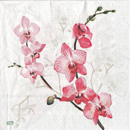 1serviette papier Orchidés-7