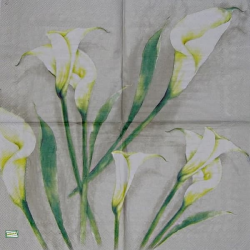 1serviette papier Arums-52