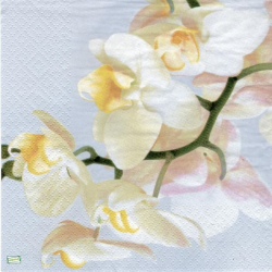 1serviette papier Orchidés-34