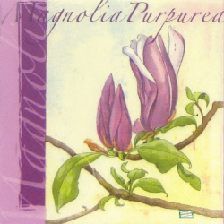 1serviette papier Orchidés-35