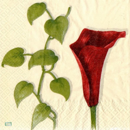 1serviette papier Arums-37