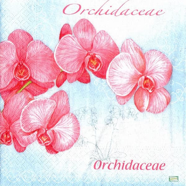 1serviette papier Orchidés-42