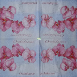 1serviette papier Orchidés-42