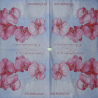 1serviette papier Orchidés-42