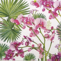 1serviette papier Orchidés-49