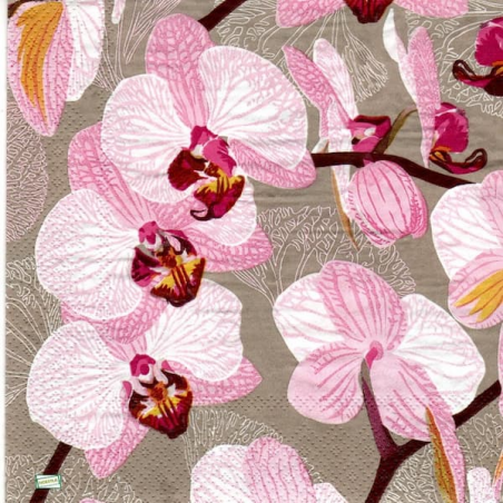 1serviette papier Orchidés-51