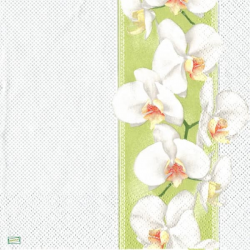 1serviette papier Orchidés-55