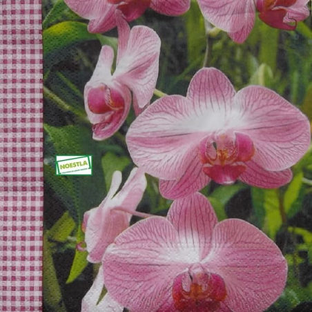 1serviette papier Orchidés-57